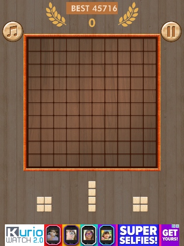 Wood block puzzle world hot sale record